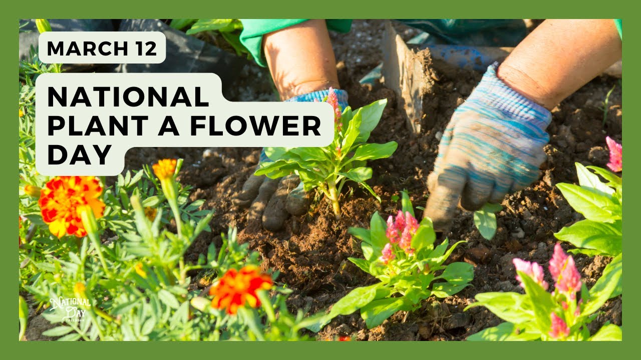 National Plant A Flower Day | March 12