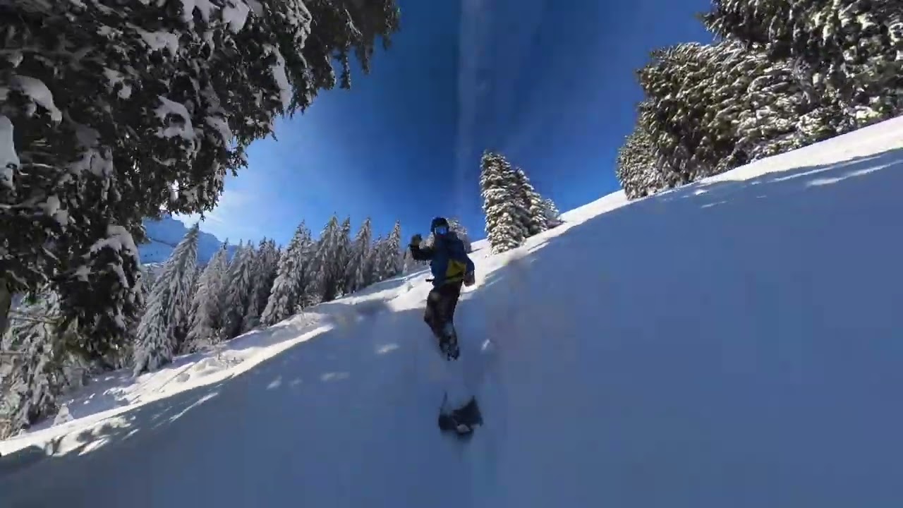 pow day summary :)))))))))