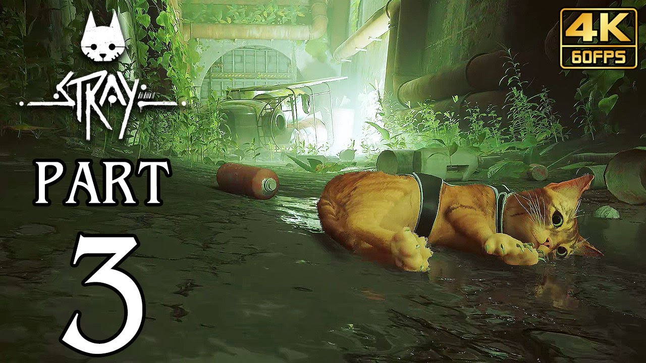 STRAY Walkthrough PART 3 (PS5) No Commentary Gameplay @ 4K 60ᶠᵖˢ ✔