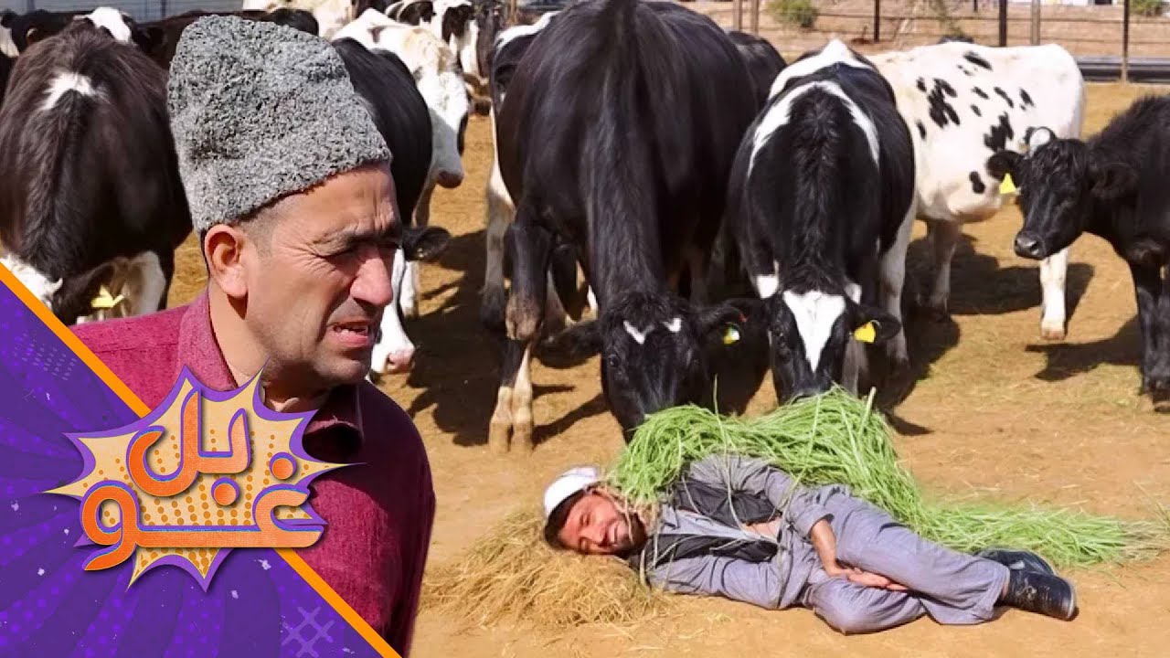 غوبل - لومړۍ برخه - په غوجل او فارم کې کار کول