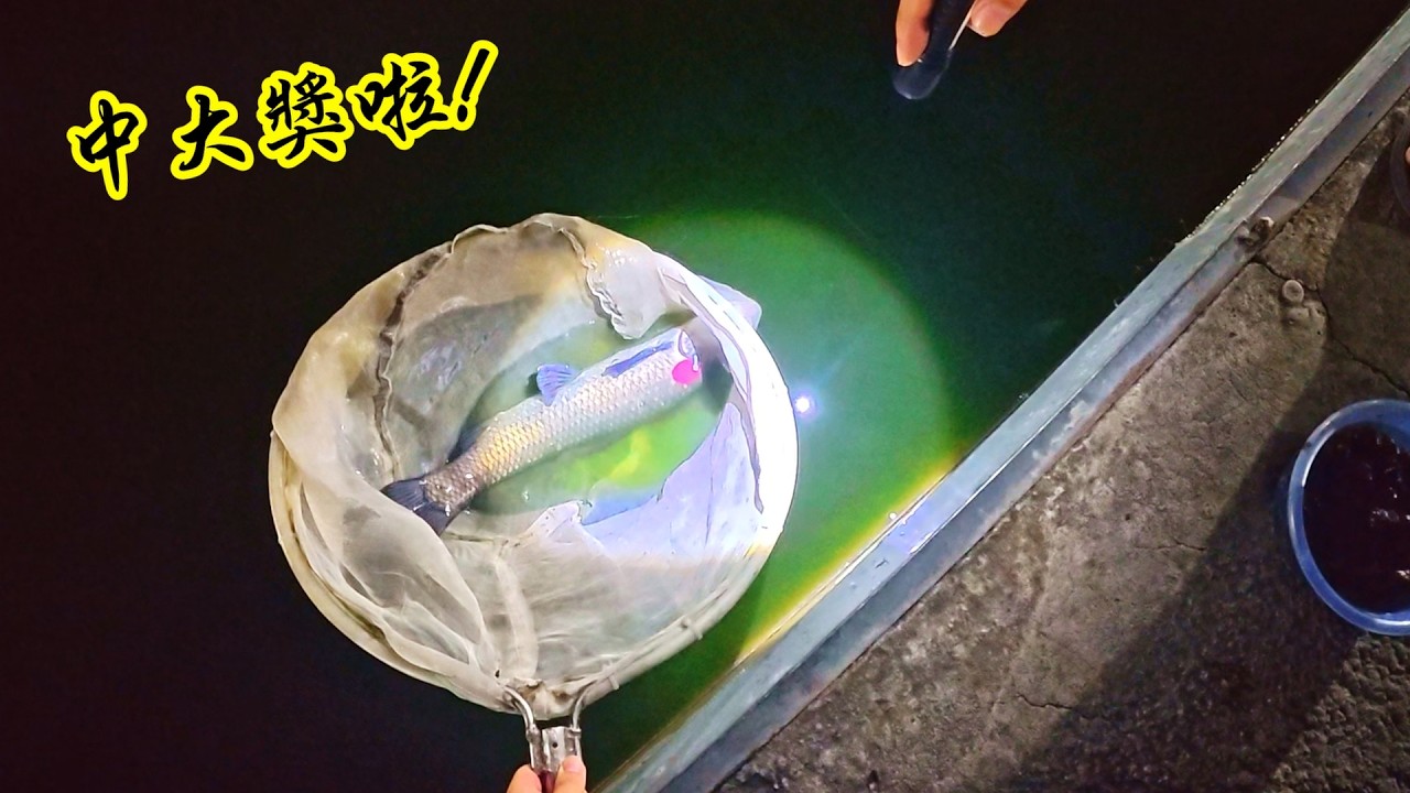 沒想到今天釣魚真是把所有運氣都用上了！什麼都不懂就中大獎啦！！！環河烏鰡池 ＪＨ浮標工坊