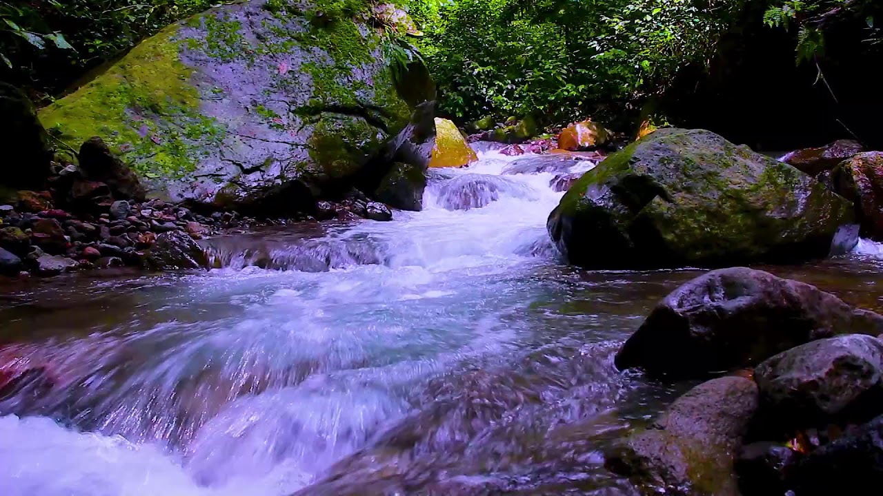 Sleep Through the Night | Continuous River Sounds for Deep Rest