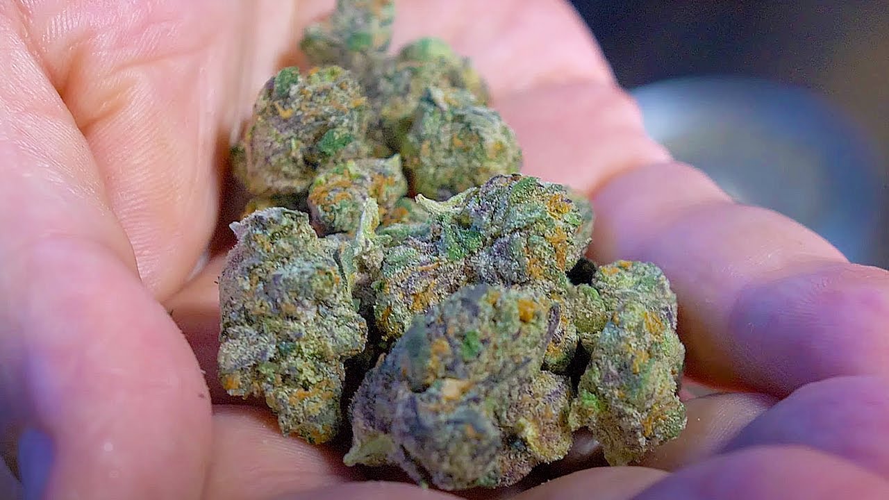 Durbin Chorus Strain Review 🌿 | Indica or Sativa? Southern Social Cannabis (Arkansas)