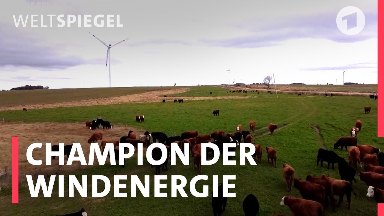Uruguay: So wurde das Land zum Windenergie-Champion | Weltspiegel