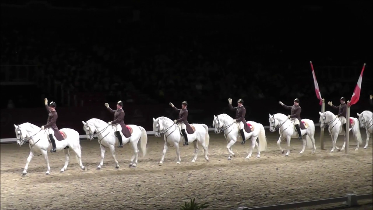 Bécsi Spanyol Lovasiskola 2016 - Monarchia Keringő - Karüsszel