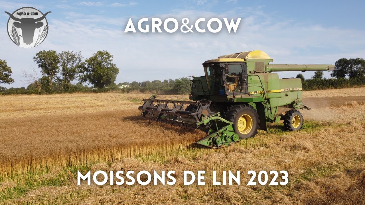 MOISSONS de Lin 2023  | 4K |
