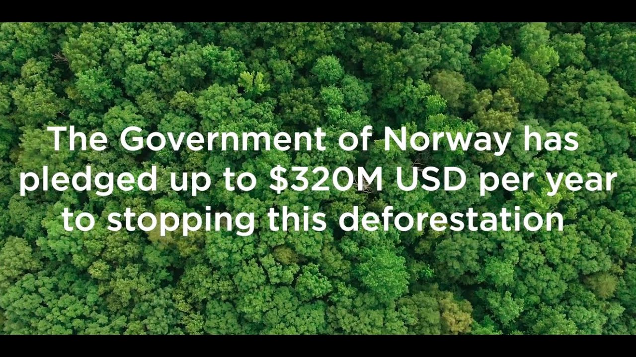 Planet, KSAT And Airbus Awarded First-Ever Global Contract To Combat Deforestation