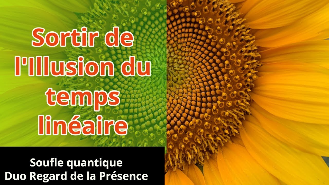Sortir du temps lin&eacute;aire artificiel pour t'ouvrir au temps naturel des synchronict&eacute;s