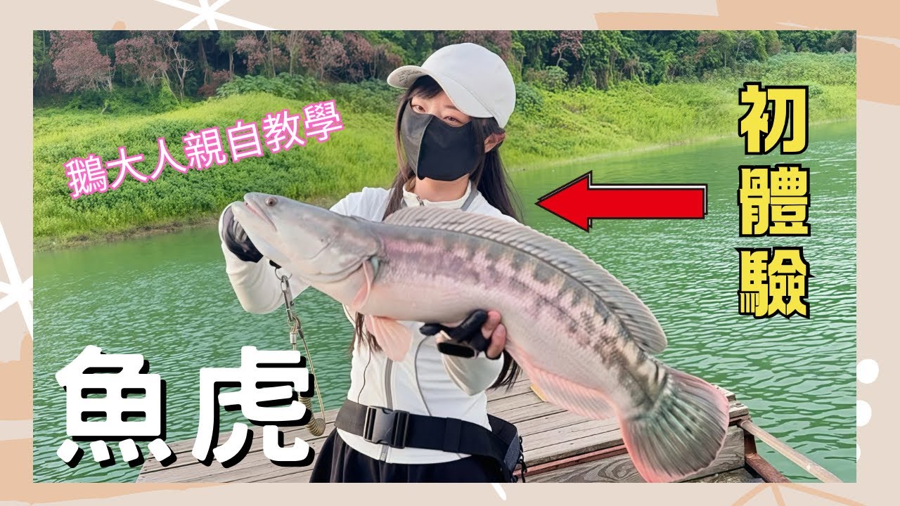 初次挑戰！鵝大人不藏私～魚虎教學篇［夢想成真］@GOOSER |雪莉一隻羊