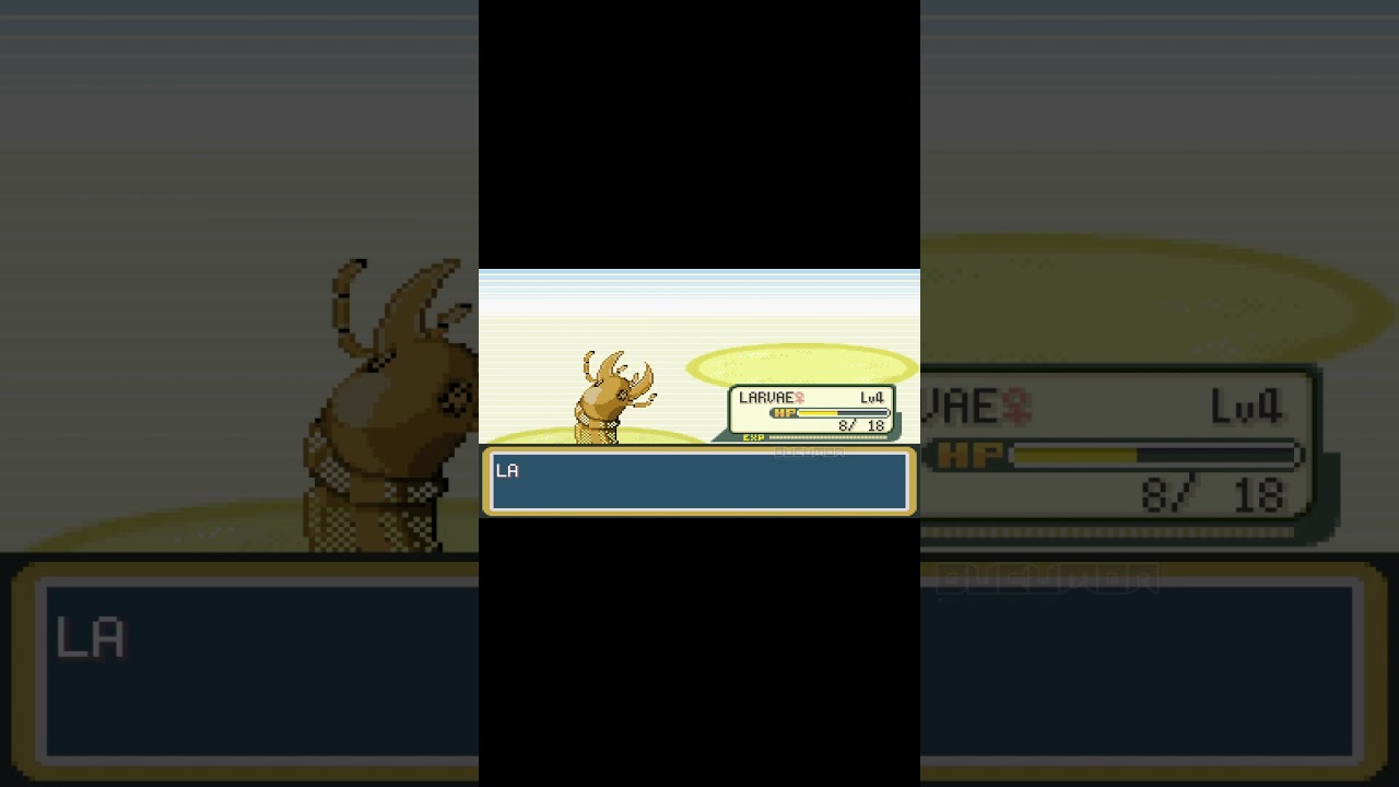 Arthropoda Dytiscid #pokemon #ducumon #pokemoner #kr&oacute;tkie #szorty #trendy