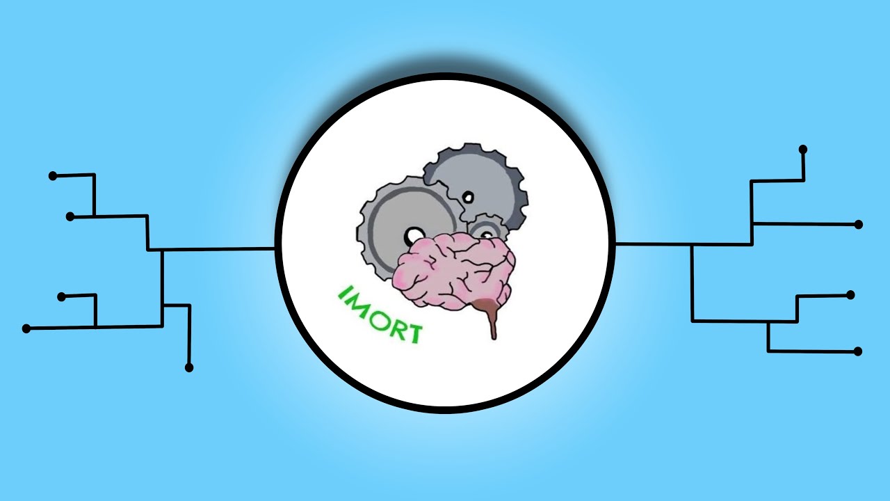 IMORT - Presentaci&oacute;n de empresa (Ficticia)