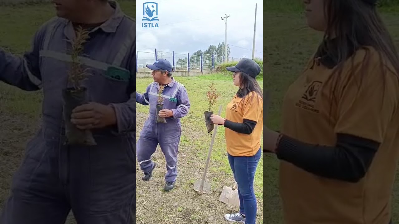 Proyecto de vinculación