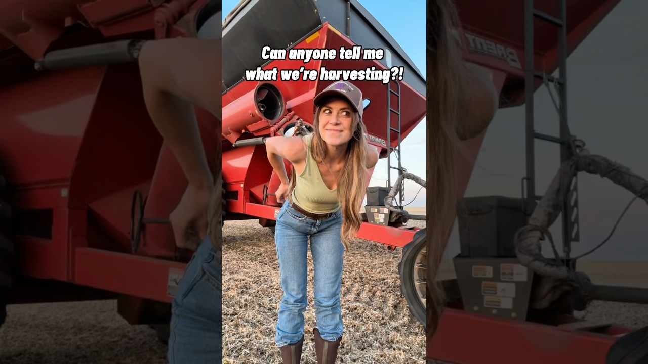 I have never run grain cart in this! 👀 #farming #farmlife #citygirl