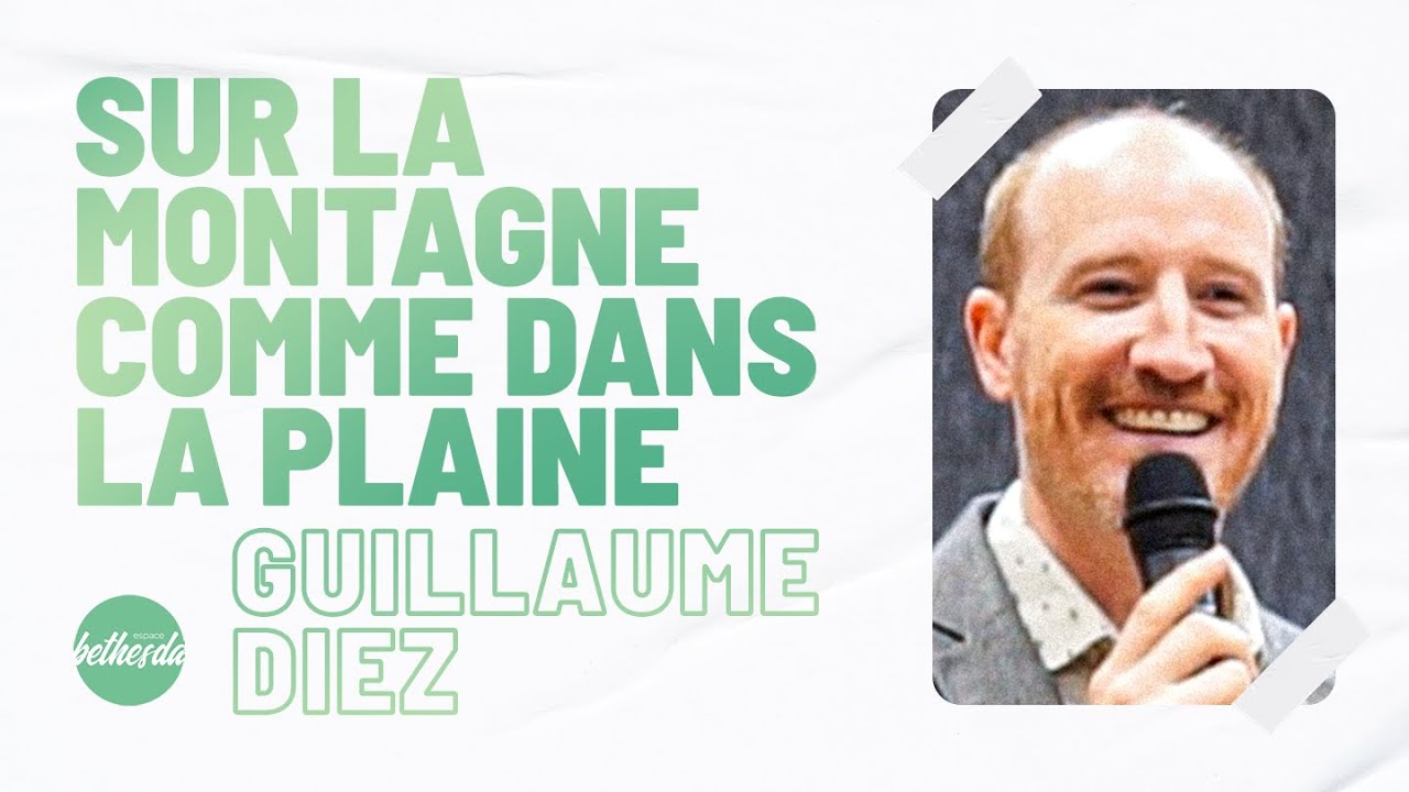 Sur la montagne comme dans la plaine - Guillaume Diez