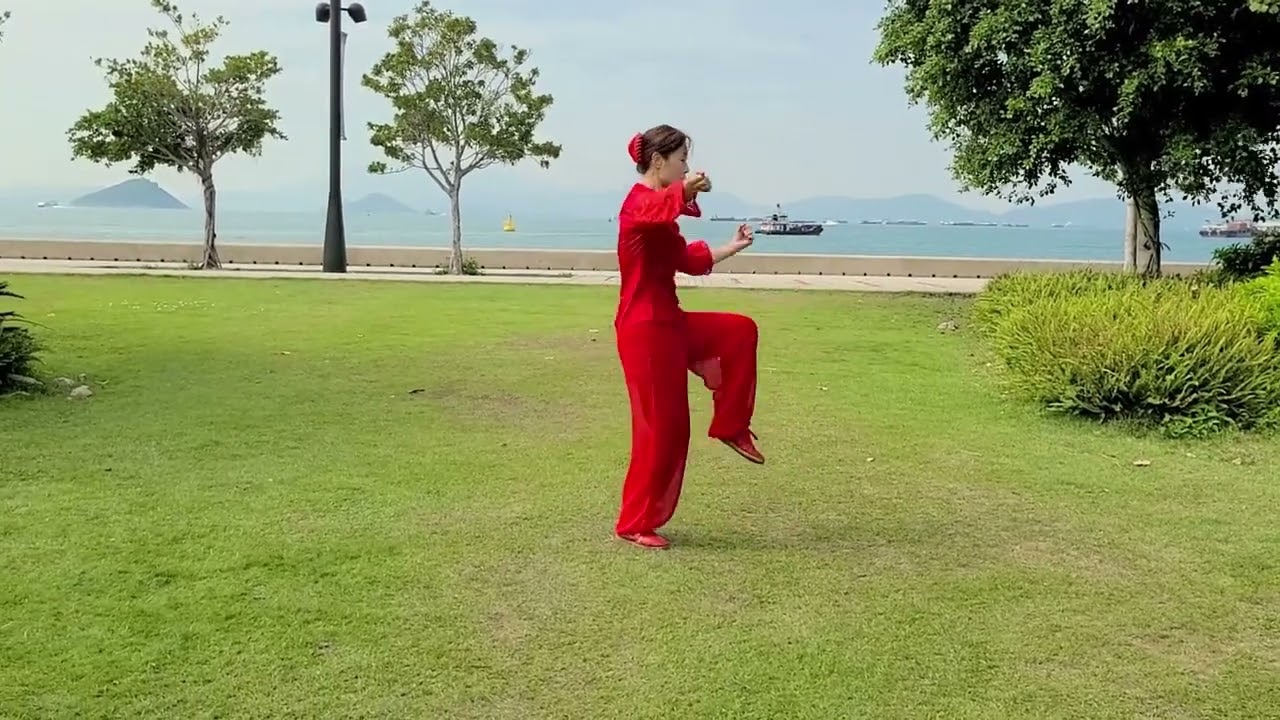 진식 태극권 56식 陈式太极拳56式完整示范 chen style taichi 56 forms
