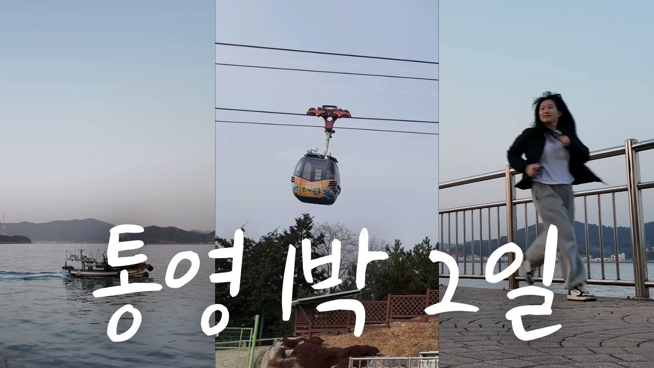 통영 브이로그｜통영금호리조트, 철판해물탕, 통영중앙시장 방어회, 통영케이블카 그리고 귀여운 고양이들