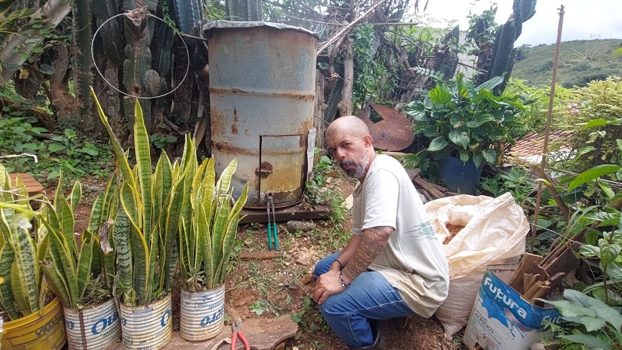 Dia de fazer a famosa (panceta defumada no tambor ) ..
