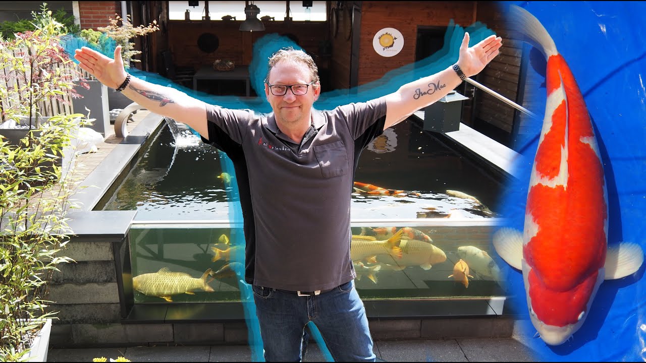 Koi vijverbezoek; Het Koi paradijs van Lucien geeft rust!