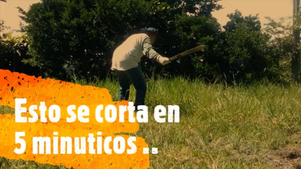 Como cortar pasto con MACHETE y cambiar de opini&oacute;n (DISFR&Uacute;TALO)✅💪 (MIRA EL V&Iacute;DEO)💥💥💥