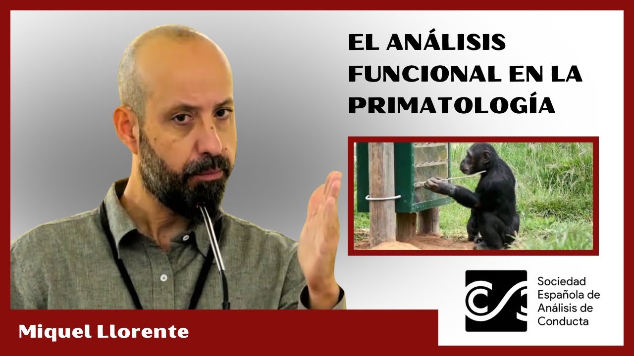 Ponencia II: Miquel Llorente en el XIII Congreso SAVECC 