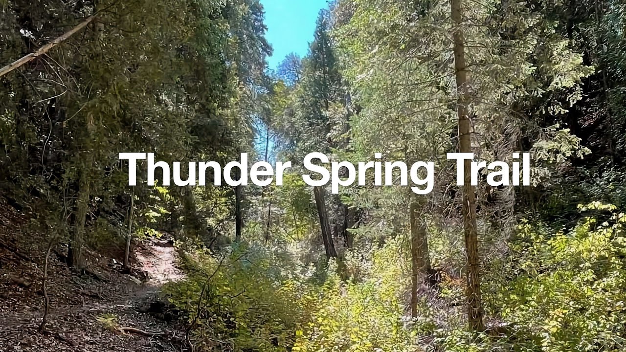 Thunder Spring Trail Loop - Palomar Mountain State Park