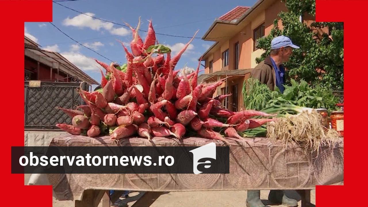 Ridichea de Apahida &icirc;ncepe să dispară. Este renumită pentru gustul intens