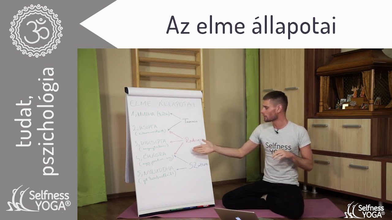 Elme állapotai, a boldogtalanságtól a boldogságig: kába, zavarodott, nyugtalan, egyhegyű, jól működő