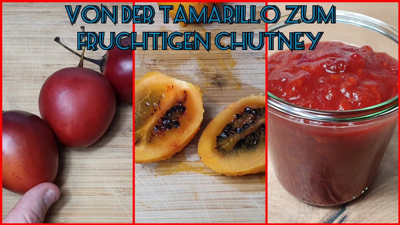 Die Tamarillo und ein Chutney daraus | Sascha brutzelt