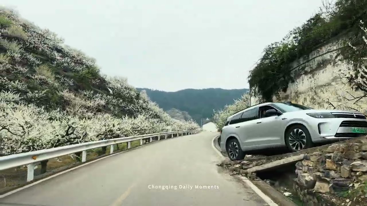 Road｜Chongqing Daily Moments｜Yubei Yinhe Plum Blossoms Drive