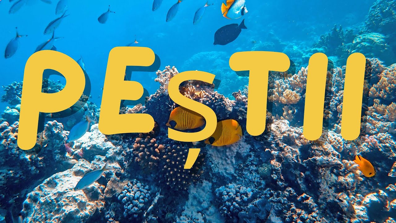 Tipuri de pești
