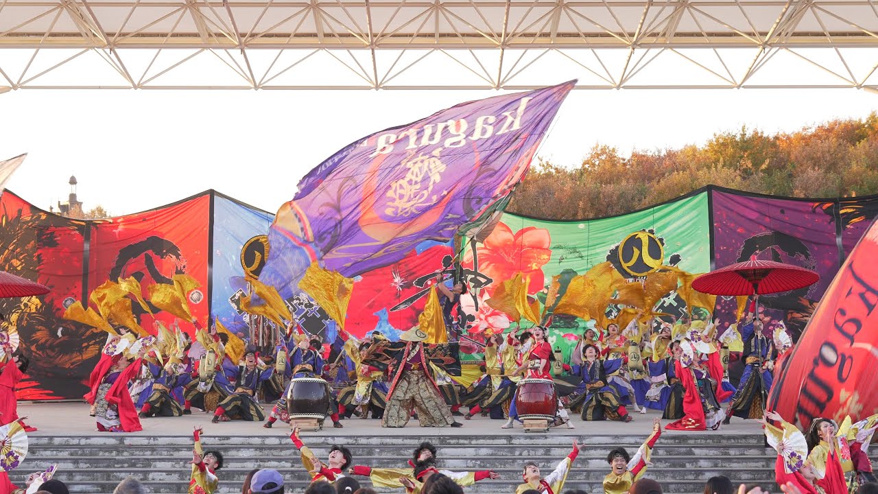[4K] kagura 【ファイルエキシビジョン】　にっぽんど真ん中祭り どまつりinモリコロパーク 2025 秋のどまつり(秋どま) 日曜日