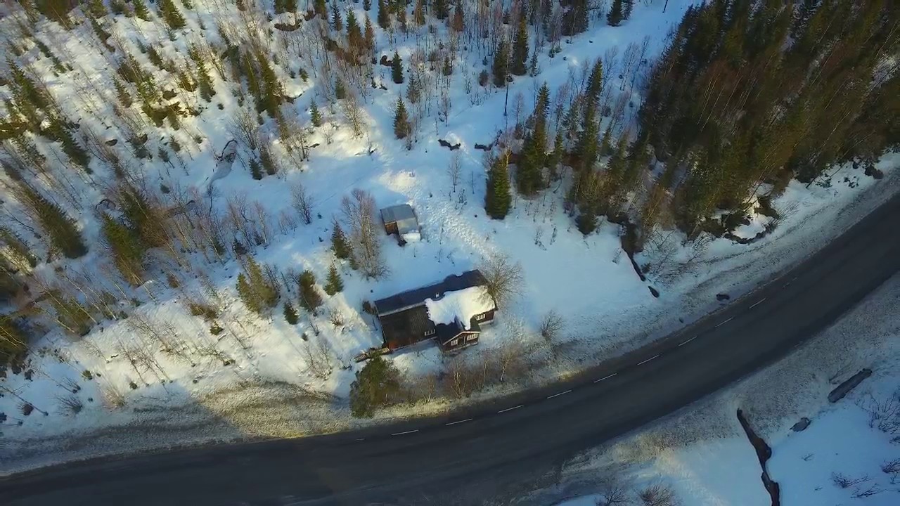 WINTER FLIGHT