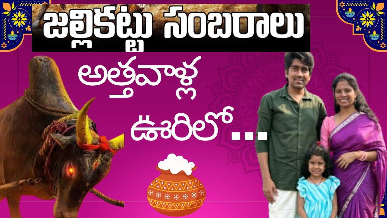 JALLIKATTU… Maamulga Ledhu Live… 🐂