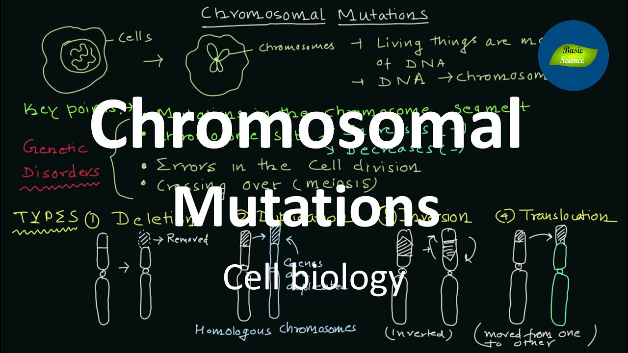 Chromosomal Mutations | Mutations | Cell Biology | Basic Science Series
