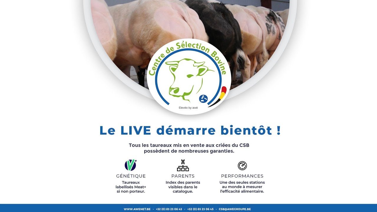 Criée BBB du CSB - Live 11/02/2026 @14:00