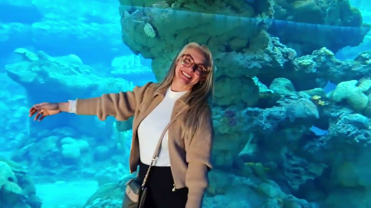 Genova Itália - Mine férias no Aquário Gigante #italy 