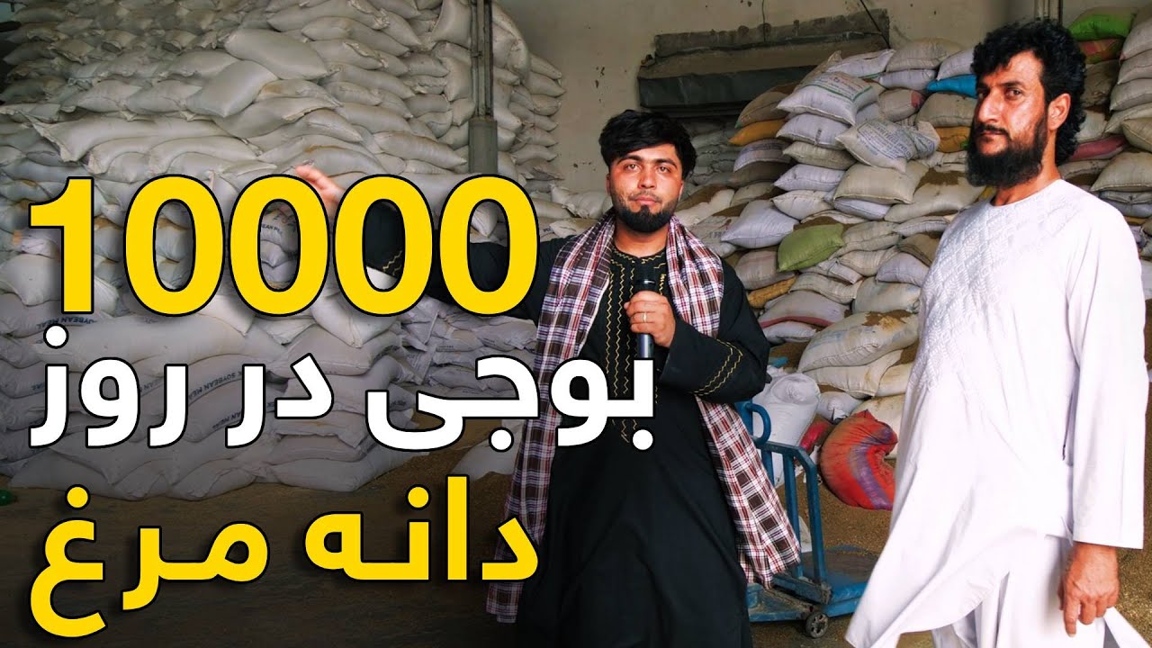 دیدار از بزرگترین شرکتی که بیشتر از ظرفیت استفاده افغانستان دانه مرغ تولید میکند