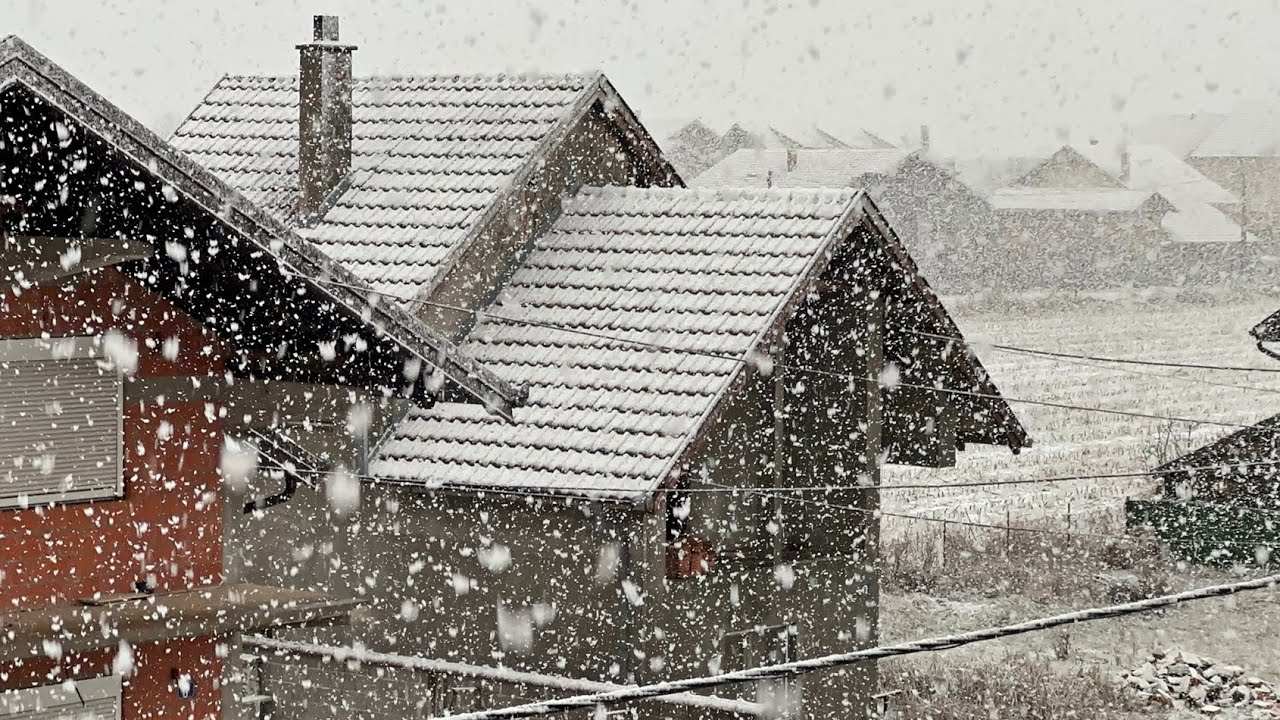 Jak sneg u Beogradu 3. januara 2026. / Heavy snow in Belgrade 