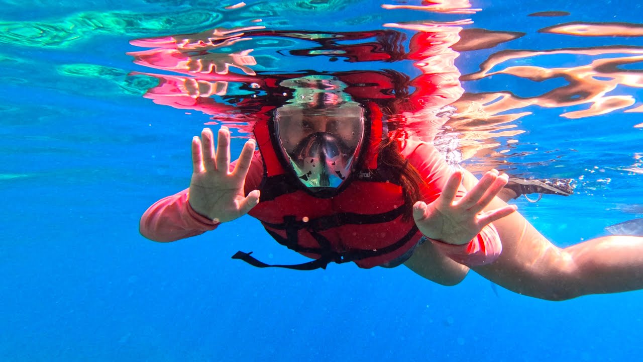 Snorkeling at the Captain Cook Monument: The Best Spot!
