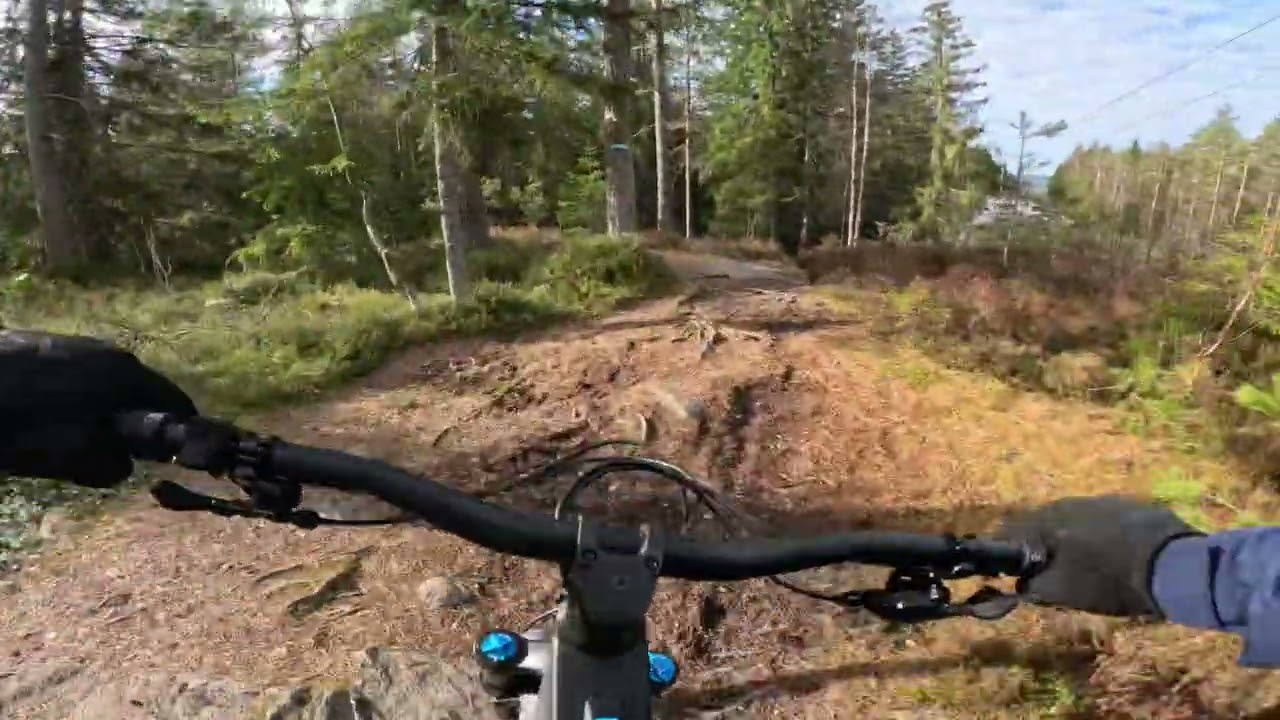 Canyon Strive:on Underdog