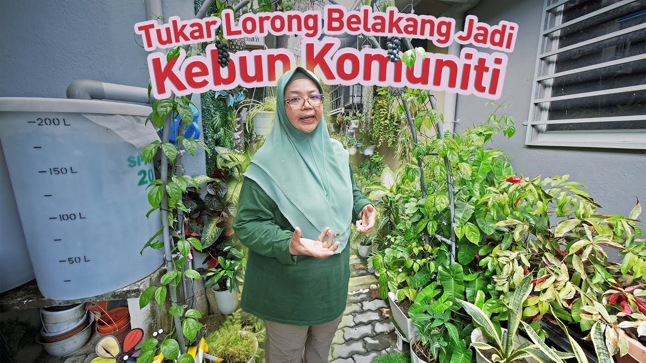 Kebun Belakang Rumah PERTAMA di Malaysia! Cantik, Bersih & Teratur | Kebun Komuniti Garden 8