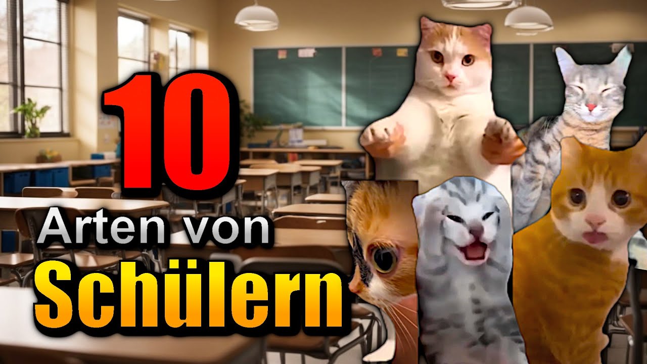 10 Arten von SCHÜLERN!😱 (Aber als Katzen)