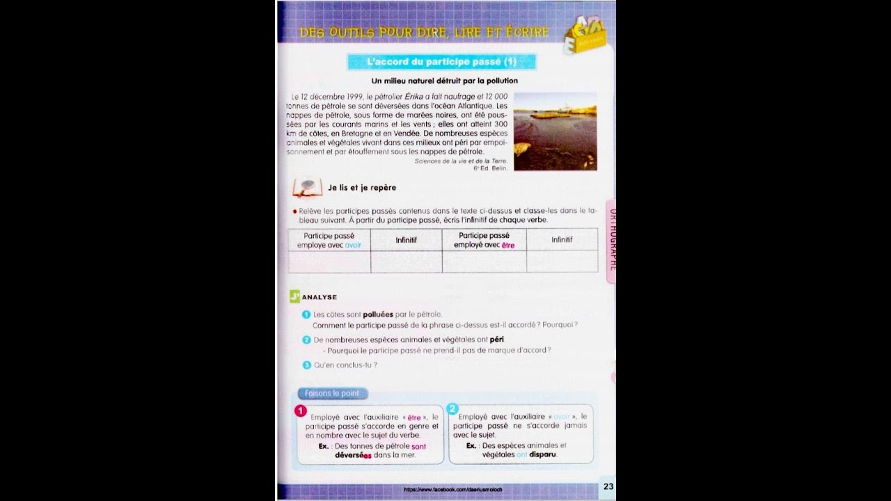 L'ACCORD DU PARTICIPE PASSÉ  (3AM / Projet 1 / Séquence 1 : Orthographe)