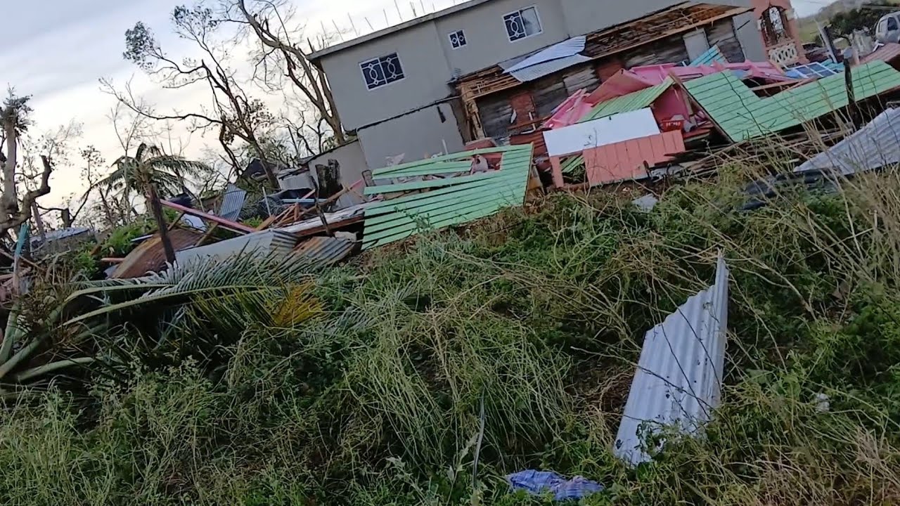 Westmoreland in Ruins After Hurricane Melissa | Day-After Coverage