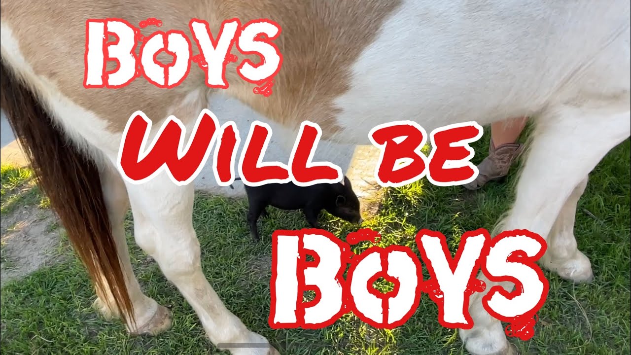 Boys Will Be Boys