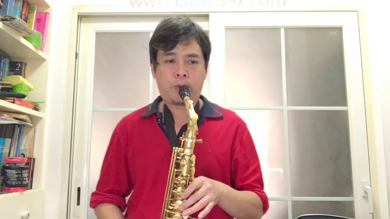 Besame Mucho  (Alto saxophone VS 8 Hole LittleSax) mini sax, pocket sax