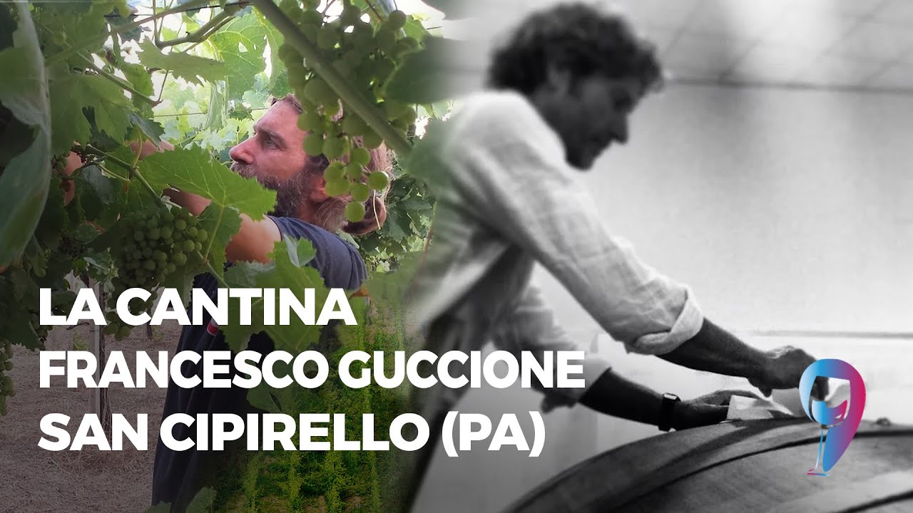 La cantina Francesco Guccione (PA)