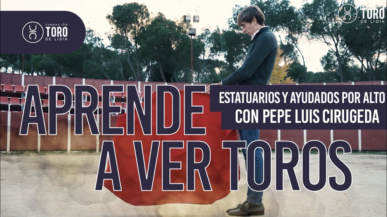 Diferencia entre estatuarios y ayudados por alto, con Pepe Luis Cirugeda | APRENDE A VER TOROS