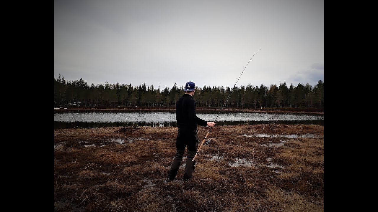 Nordmarka - Jakten På Vårens Vakreste Eventyr