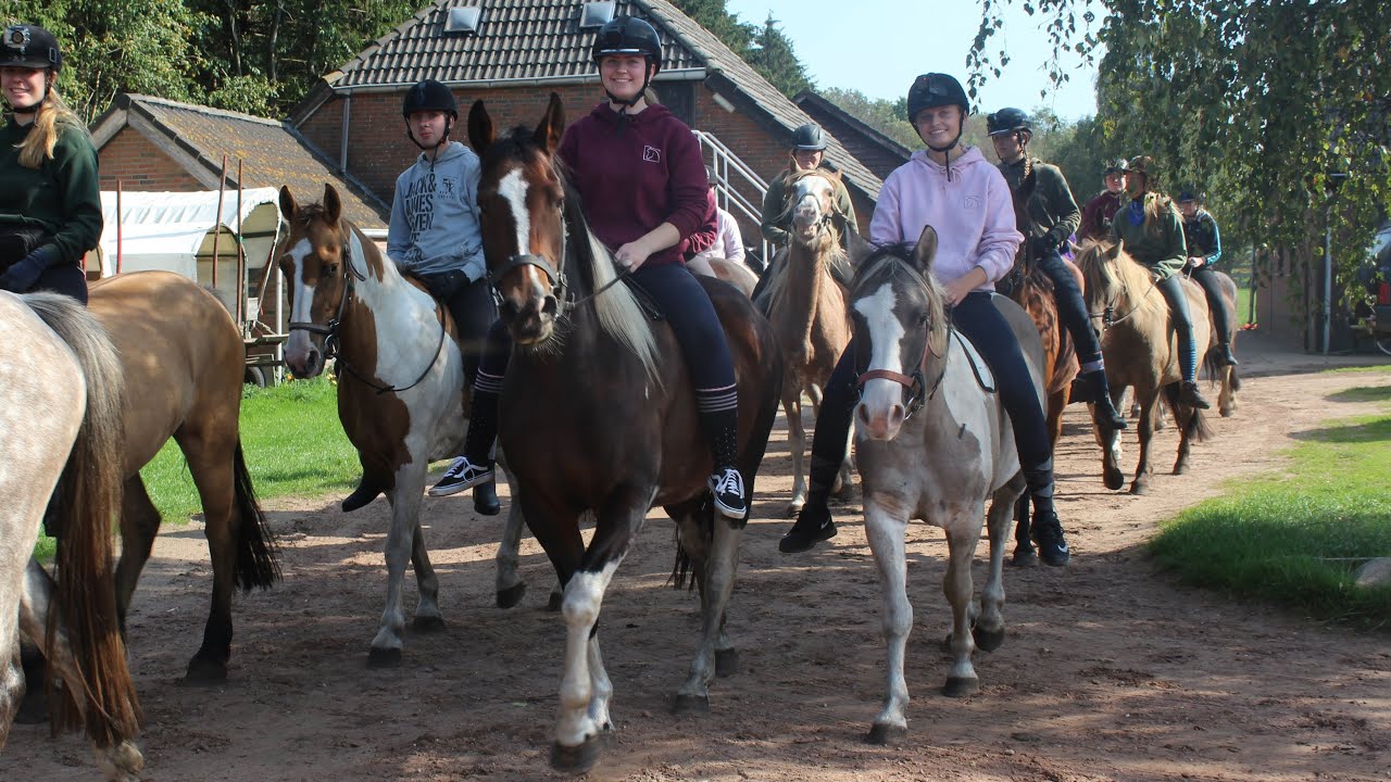 Herfstweekend 2018 RC het Fjordenpaard | Jorna